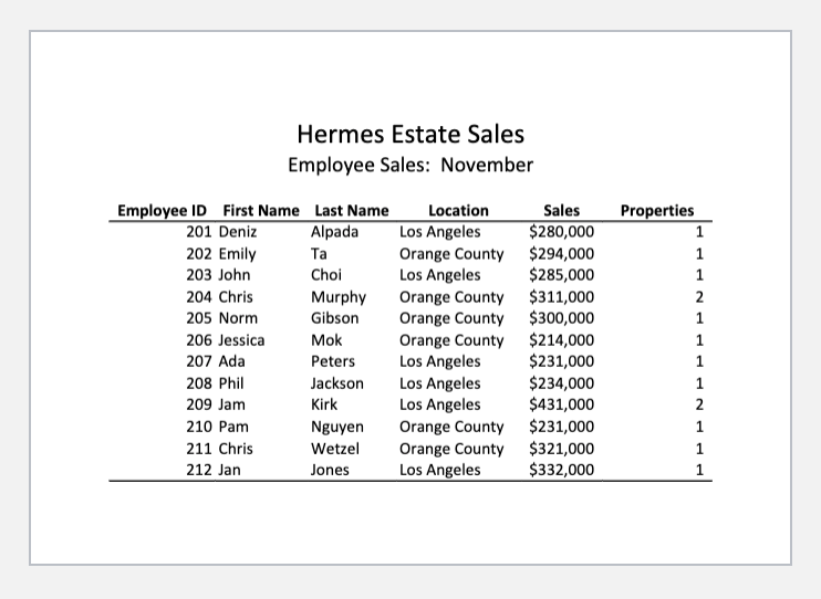 Employee Sales Summary sheet (Note: Do not make