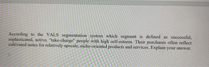 According to the VALS segmentation system which