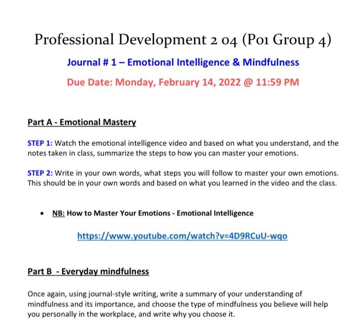 Professional Development 2 04 (Poi Group 4)