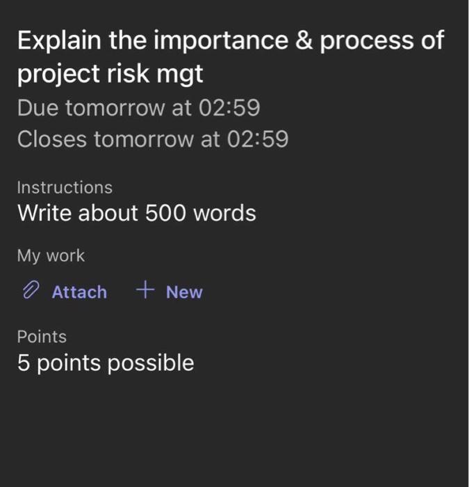Explain the importance & process of project risk