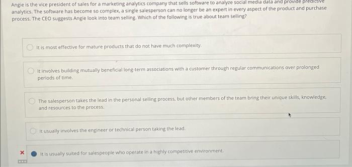 Angie is the vice president of sales for a