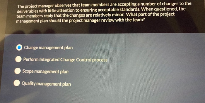 The project manager observes that team members