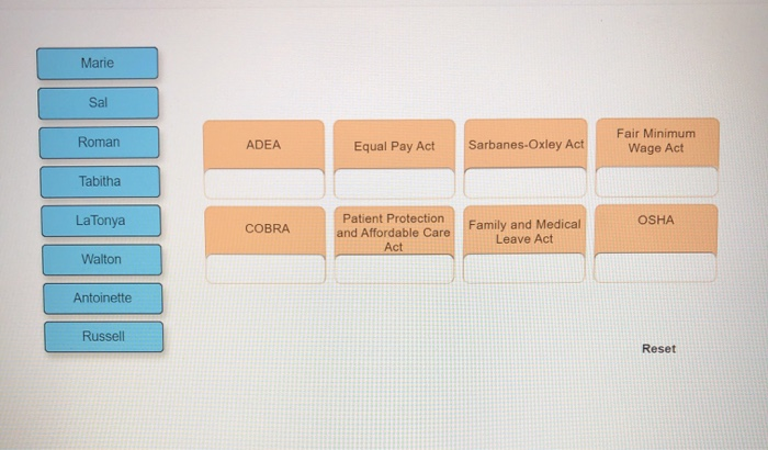 Marie Sal Roman ADEA Equal Pay Act Sarbanes-Oxley