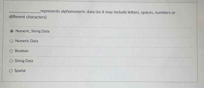 represents alphanumeric data (so it may include