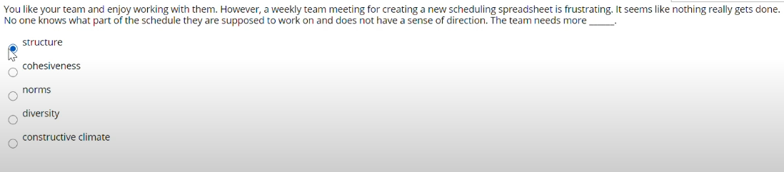 You like your team and enjoy working with them.