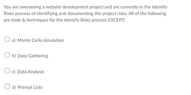 You are overseeing a website development project