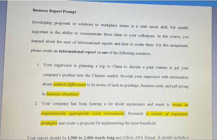 Business Report Prompt Developing proposals or