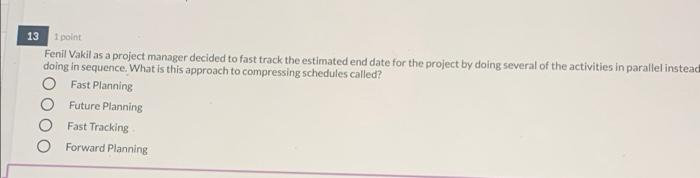 1 point 13 Fenil Vakil as a project manager
