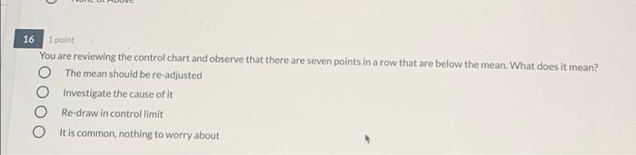 1 point 13 Fenil Vakil as a project manager