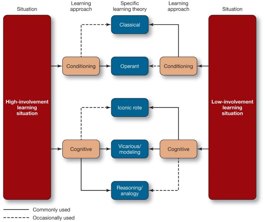Bryan is the brand manager for Sparklet, a brand