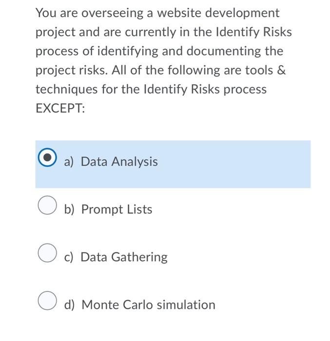 You are overseeing a website development project