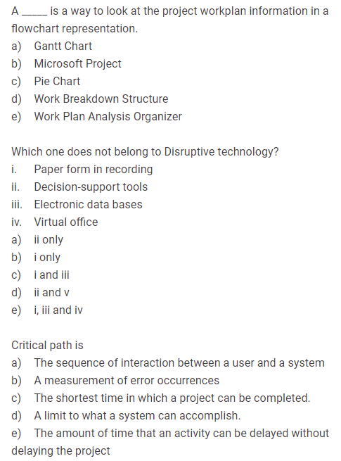 A _____ is a way to look at the project workplan