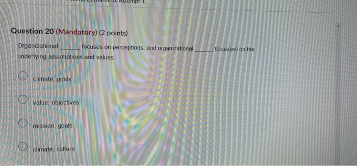 Question 20 (Mandatory) (2 points) Organizational