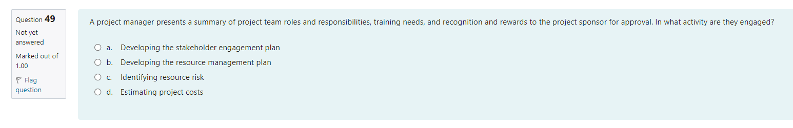 A project manager presents a summary of project