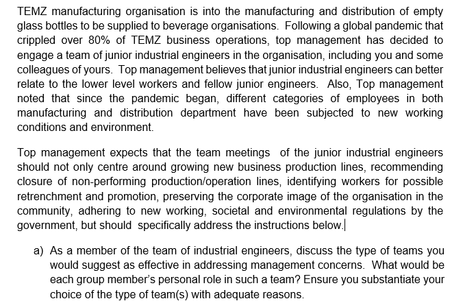 TEMZ manufacturing organisation is into the