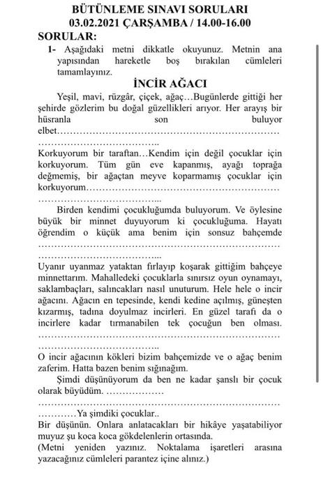BTNLEME SINAVI SORULARI 03.02.2021 ARAMBA/