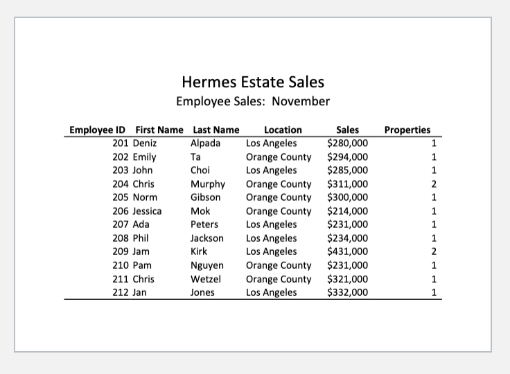 Employee Sales Summary sheet (Note: Do not make