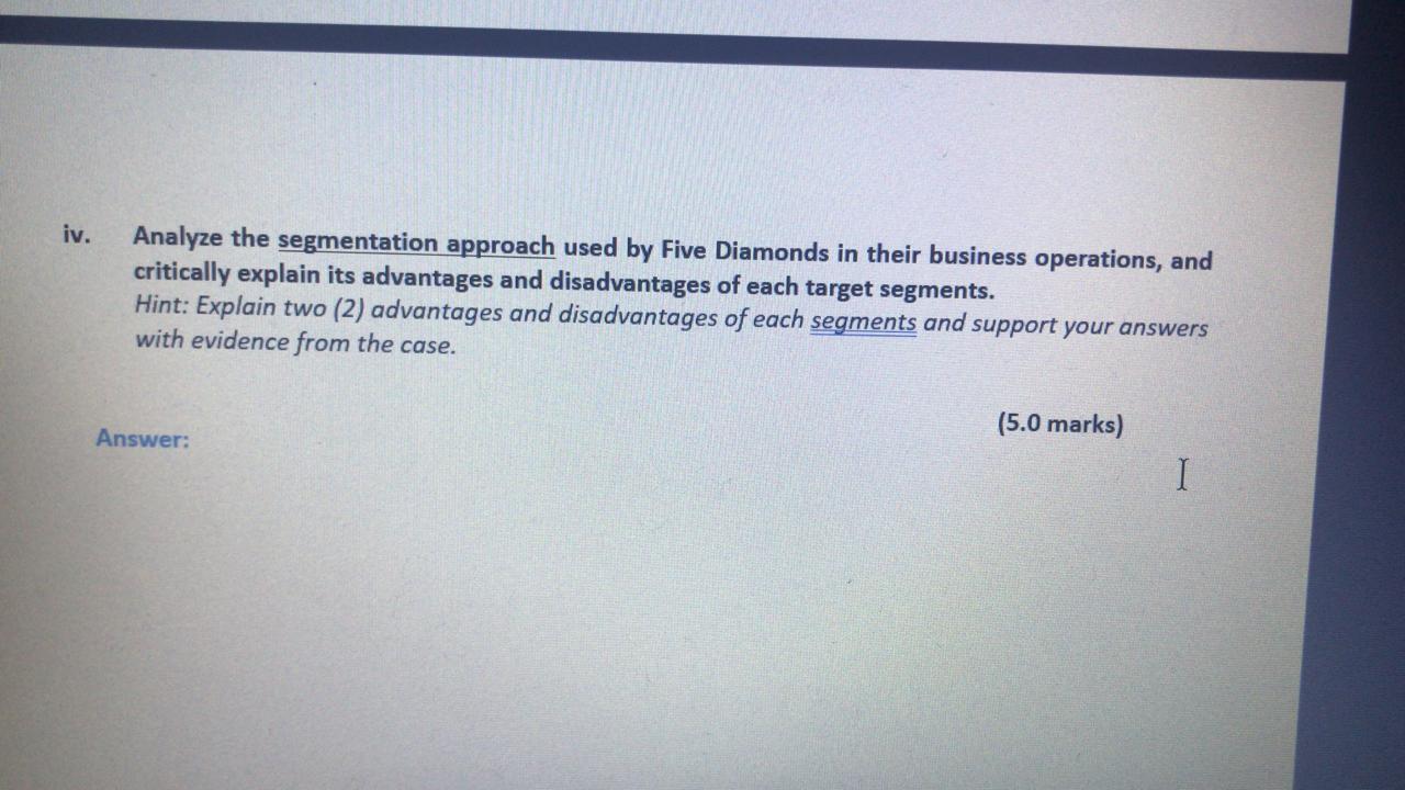 iv. Analyze the segmentation approach used by