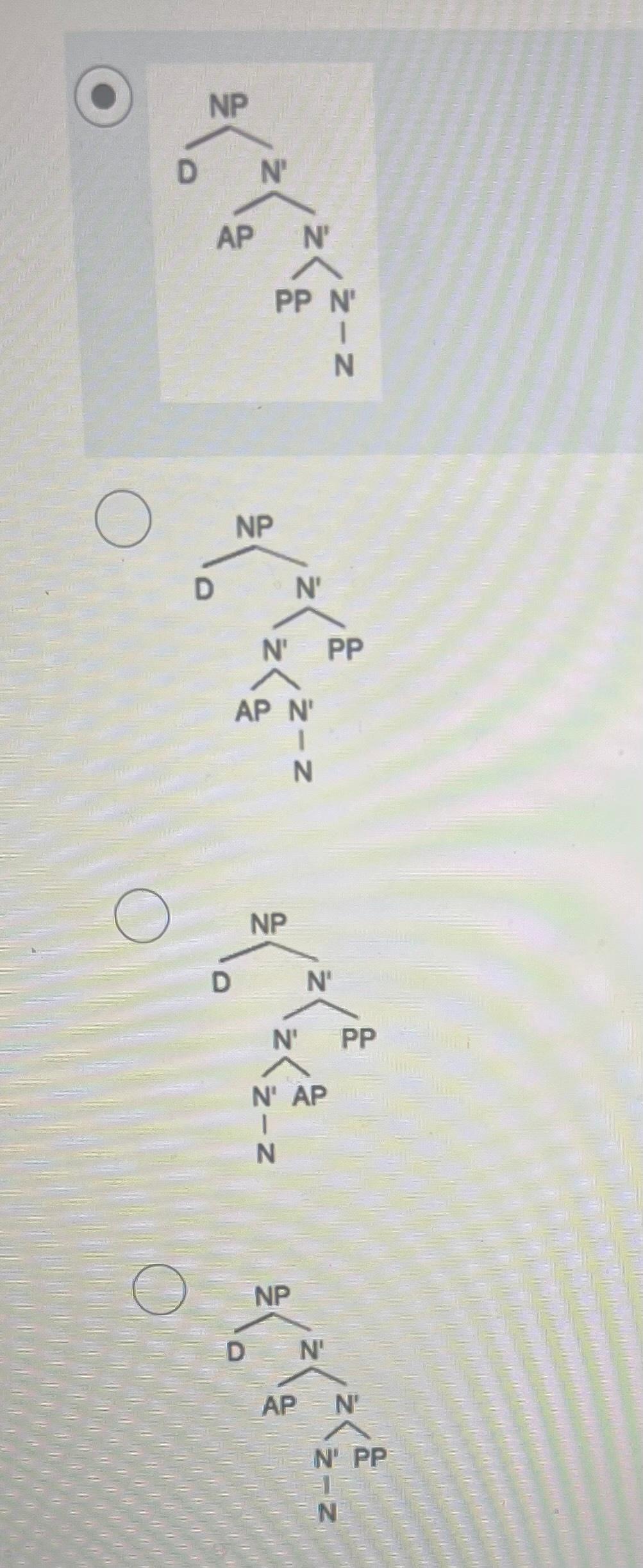 The sentence I like this tall man in the park is