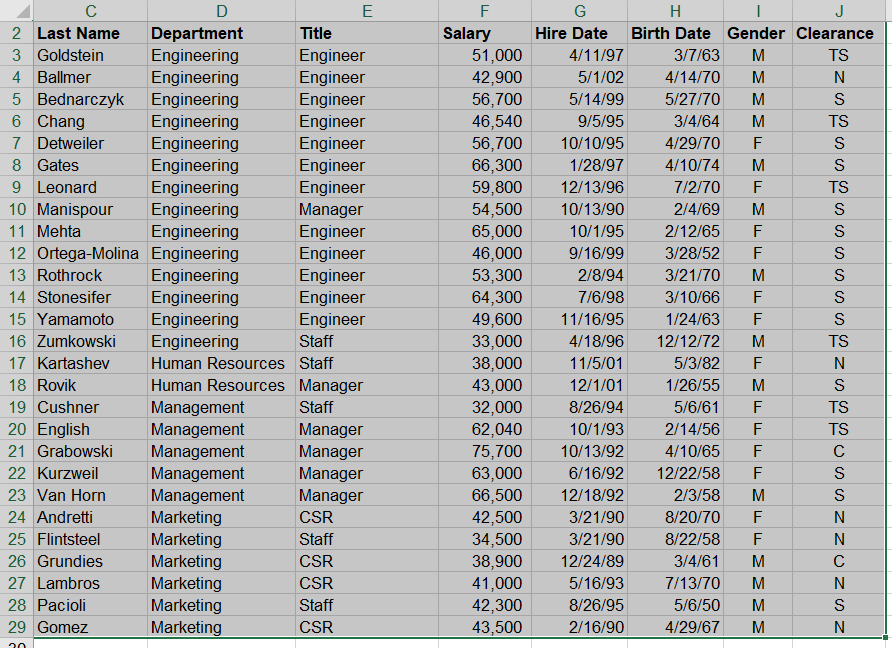 excl SecurelT, Inc., is a small computer security