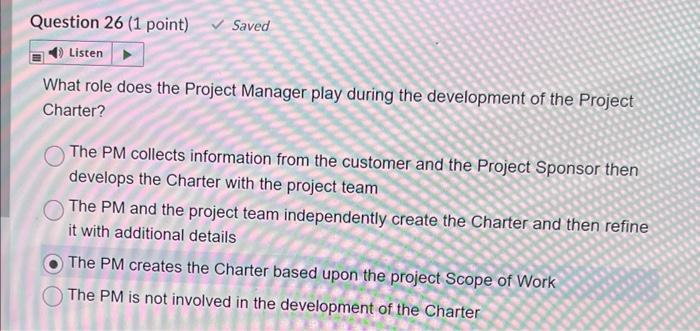 What role does the Project Manager play during