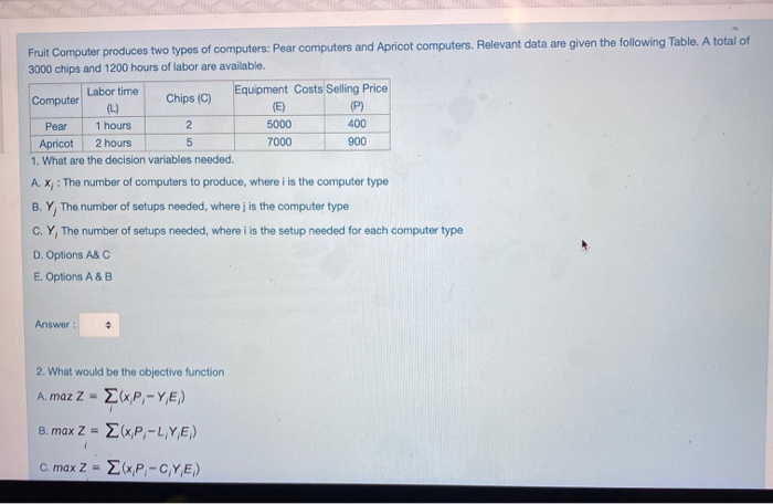 Fruit Computer produces two types of computers: