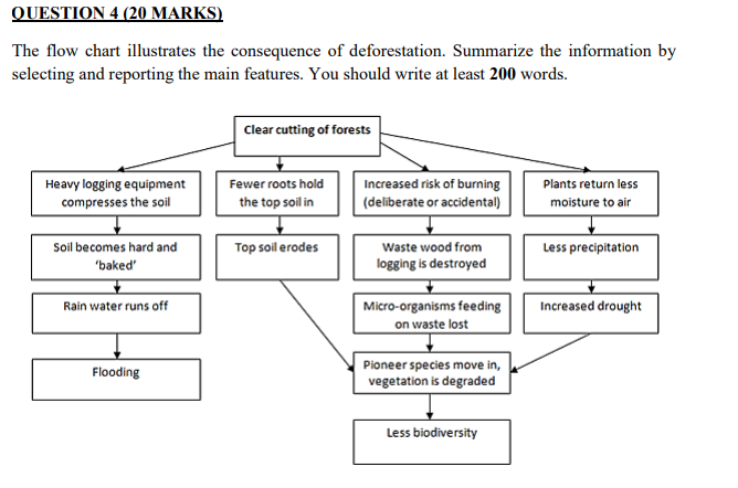 QUESTION 4 (20 MARKS) The flow chart illustrates