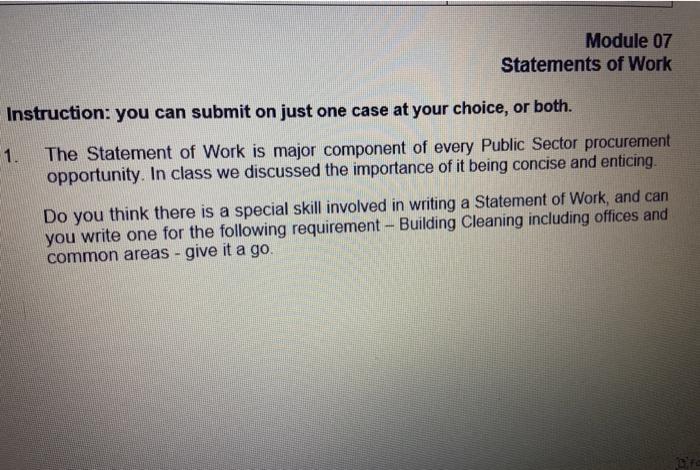 Module 07 Statements of Work Instruction: you can