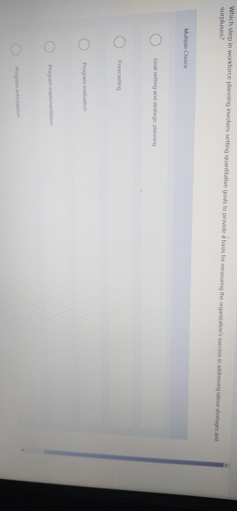 Which step in workforce planning involves setting