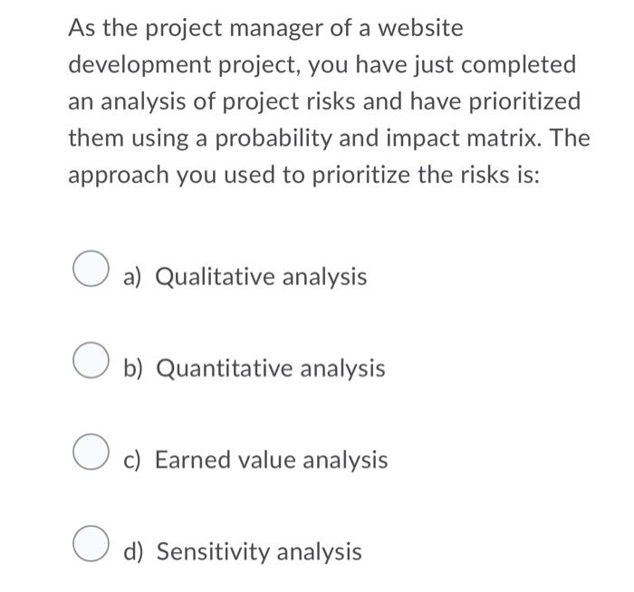 As the project manager of a website development
