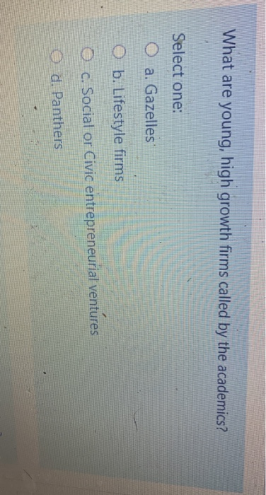 What are young, high growth firms called by the