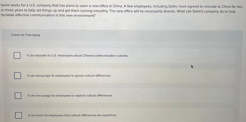 Selim works for a U.S. company that has plans to