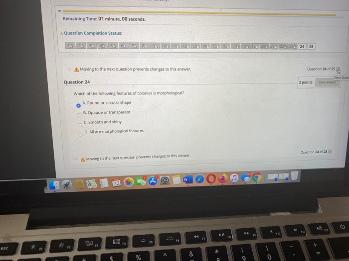 this answer is not correct. 8. 18. the answer I