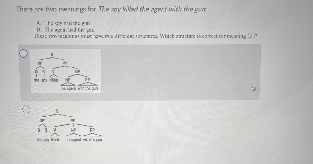 A AND B There are two meanings for The spy killed