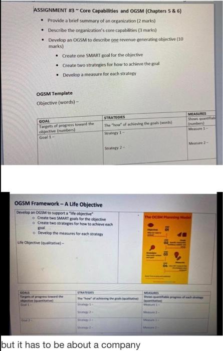 ASSIGNMENT #3 - Core Capabilities and OGSM