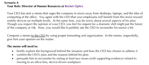 type answer in detail Scenario A Your Role: