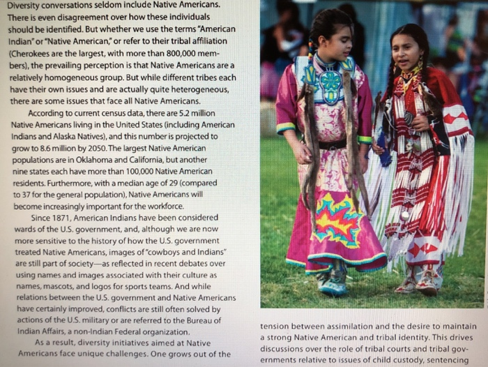 Why do you think Native Americans are so seldom