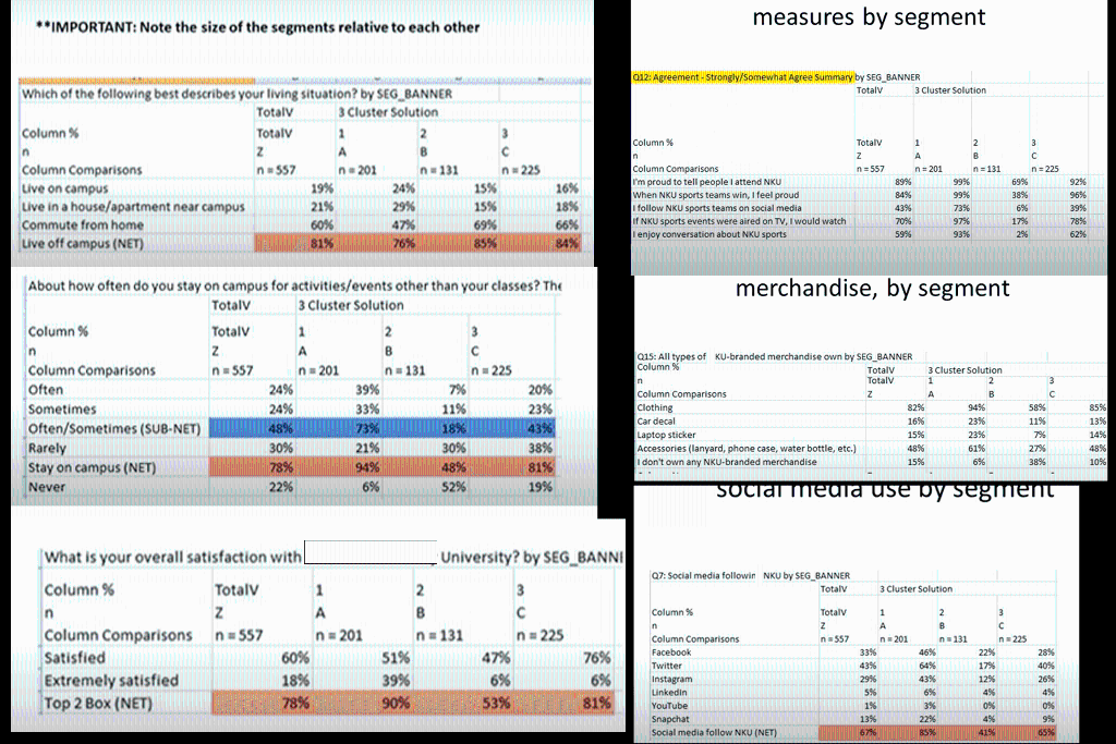 Using the cluster analysis data drawn from the