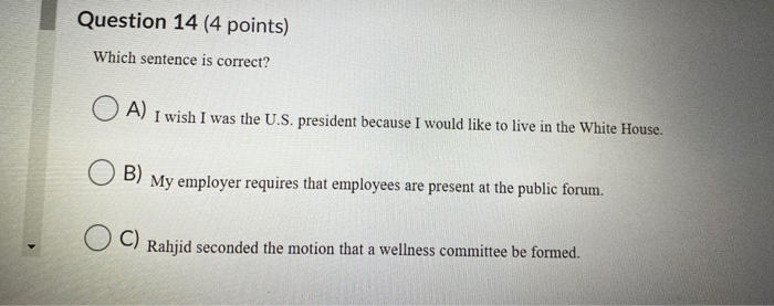 Question 14 (4 points) Which sentence is correct?