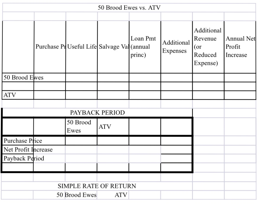 NET PRESENT VALUE Discount Rate 5% 50 Brood Ewes