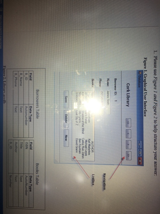 programming for Busiess 1. Please use Figure 1