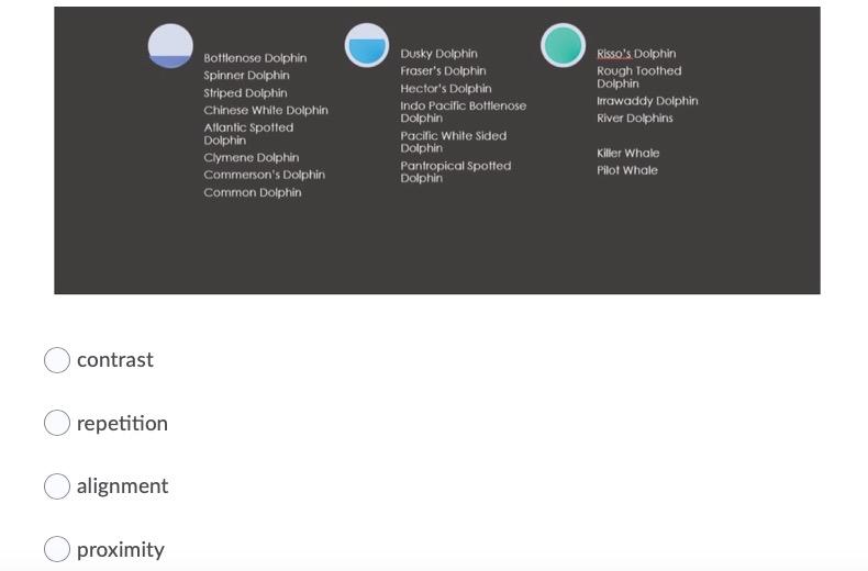 When looking at the following graphic, one might