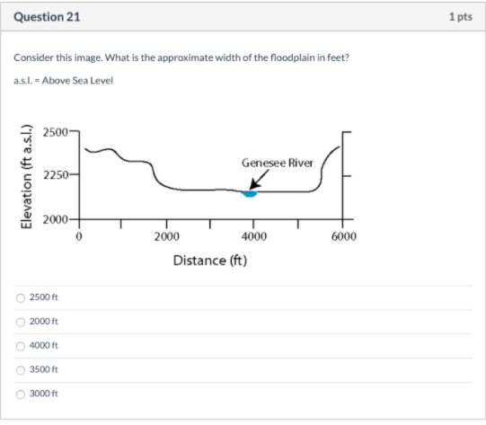 Question 21 1 pts Consider this image. What is