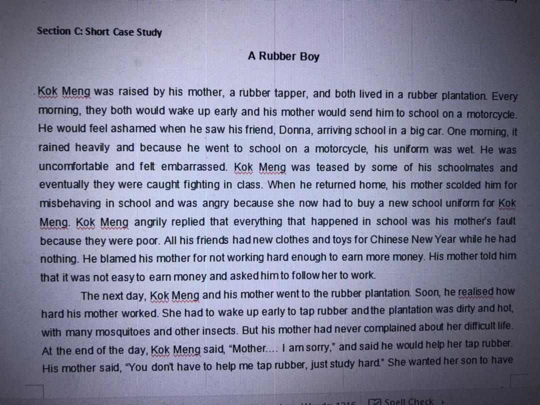 Section C: Short Case Study A Rubber Boy www Kok