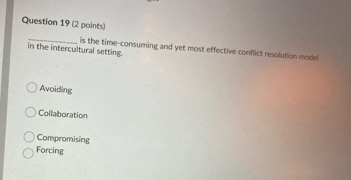 Question 19 (2 points) is the time-consuming and