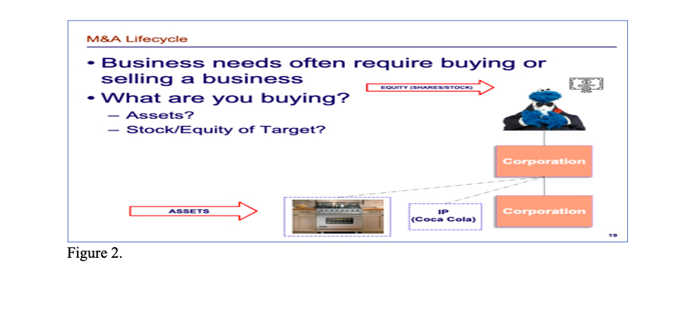 True or False. In the organizational chart below