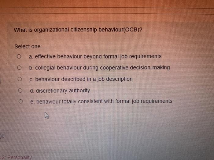 What is organizational citizenship