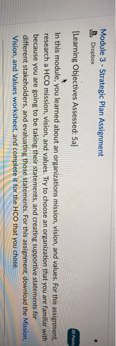 Module 3 - Strategic Plan Assignment Dropbox