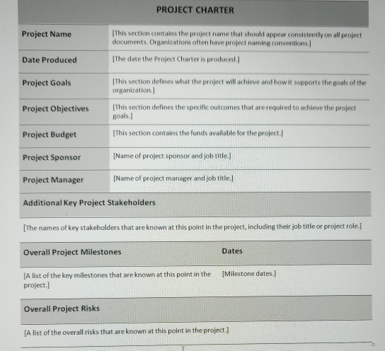 PROJECT CHARTER Project Name [This section