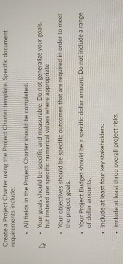 PROJECT CHARTER Project Name [This section